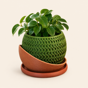 Chậu cây decor in 3D kèm đĩa lót phù hợp đặt trên bàn làm việc, kệ tủ hoặc góc nhà nhỏ. Thiết kế nổi bật giúp cây xanh trở thành điểm nhấn trang trí tự nhiên.